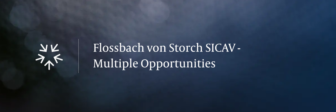 Monatskommentar Multiple Opportunities 